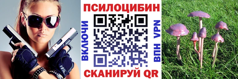 Псилоцибиновые грибы Magic Shrooms  Купить  Советская Гавань 