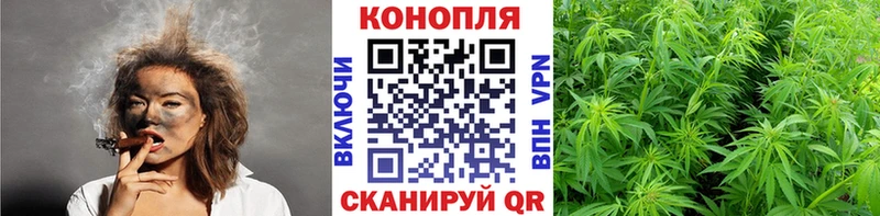 Купить где  Советская Гавань  Канабис планчик 
